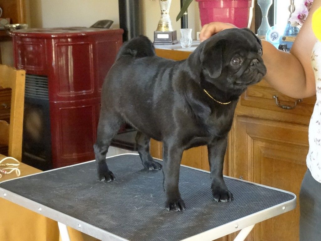 Publication : du domaine des calins 