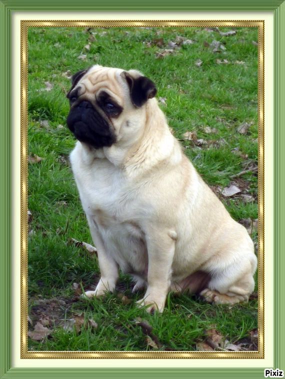 Publication : de la Closerie Deval Auteur : de la Closerie Deval