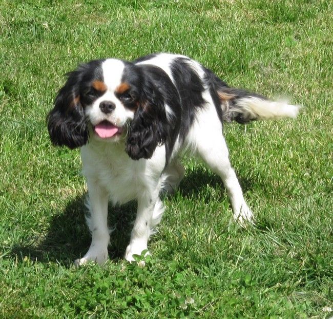 Publication : de la maison du ryez Auteur : M Natiez