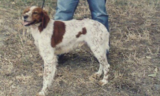 CH. Turra (Sans Affixe)