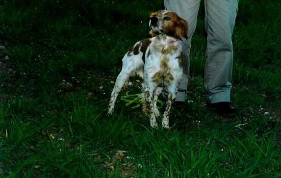 TR. CH. Kini de sol y luna