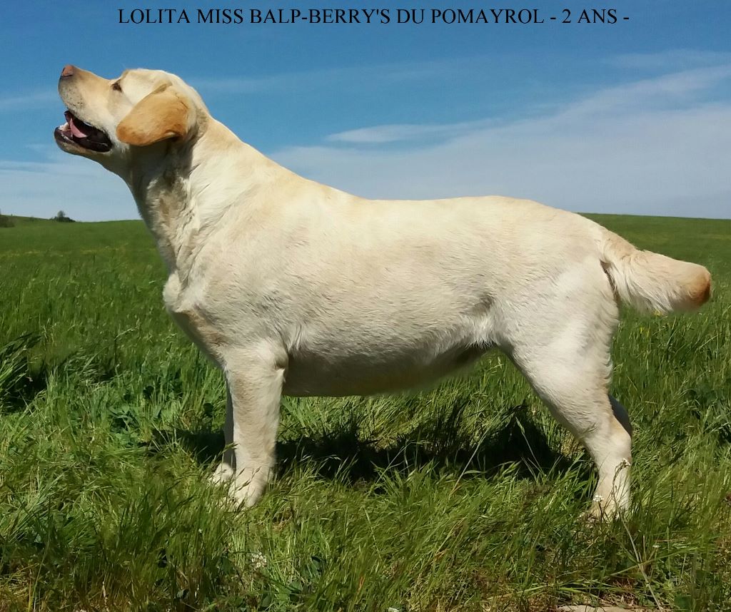 Lolita miss balp-berry's Du Pomayrol