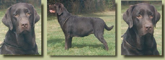 Jeeloh of Crystal Valley