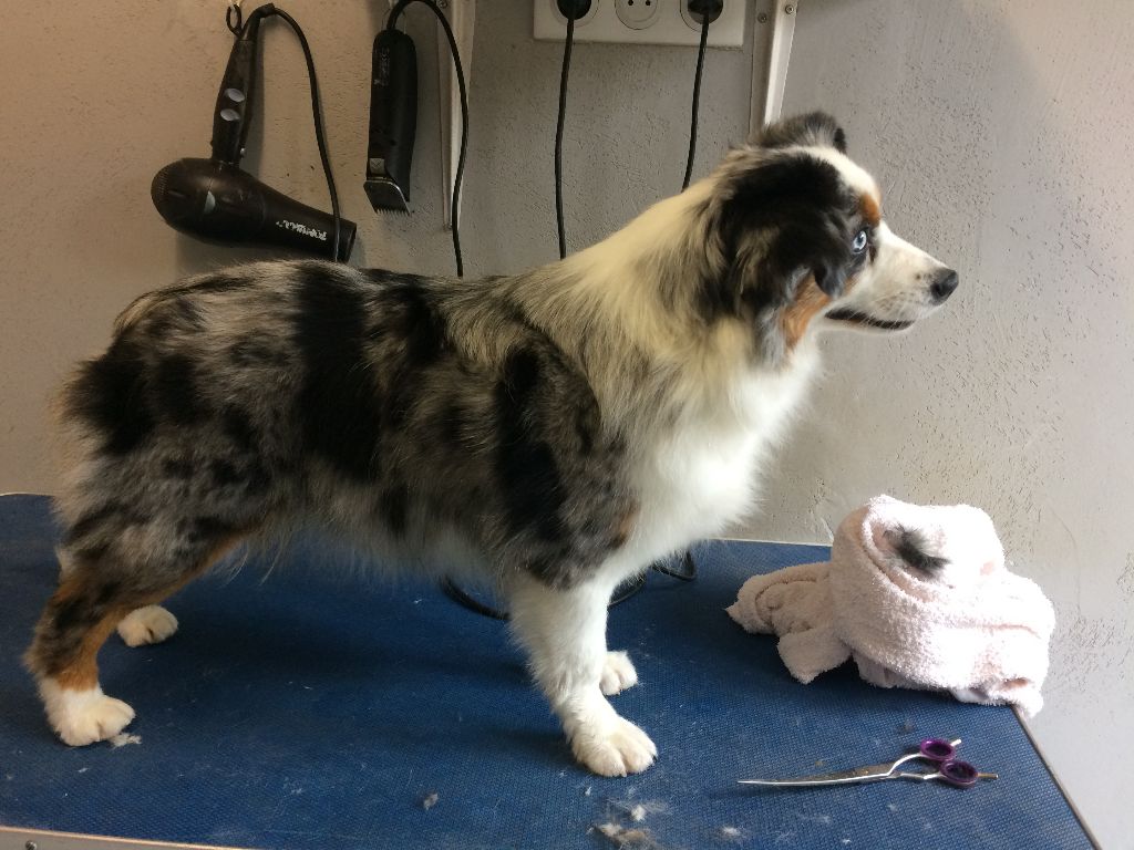 Publication : des Jardins de Becky Auteur : Chanel