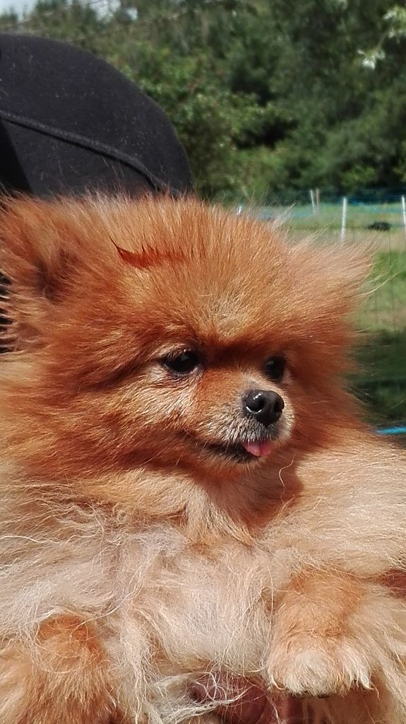 Publication : Everybody's Got