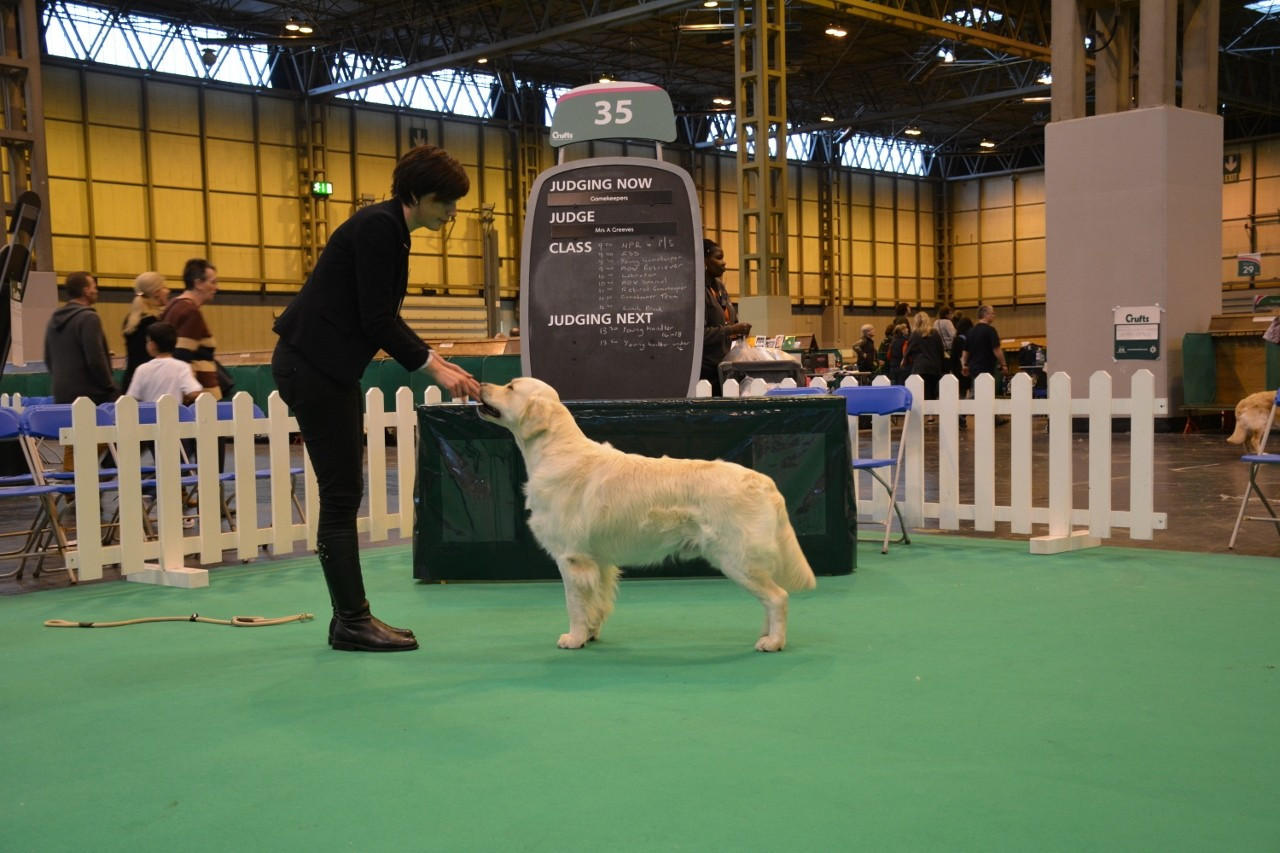 CH. Legend d'aslan du Clos des Facons