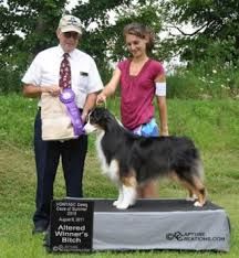 CH. Hearthside Gimme a smooch