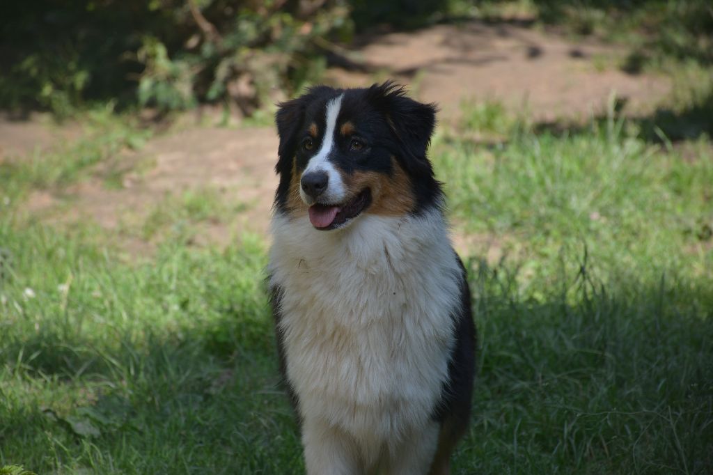 Publication : du Domaine D'Eily