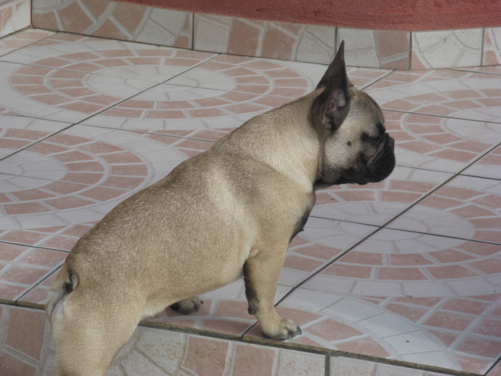 Intense du castelle Saint Claire