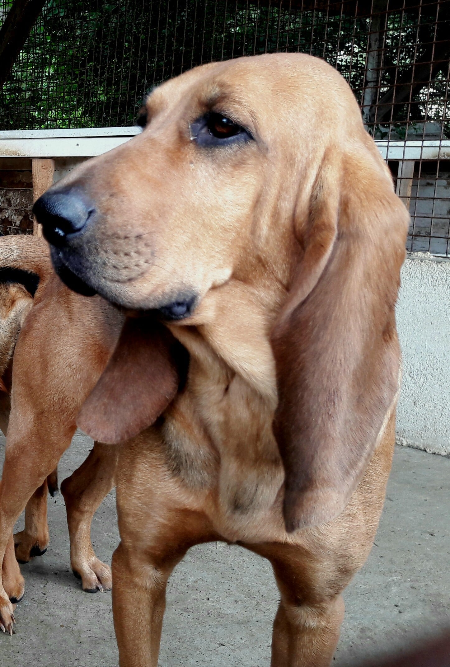 Publication : du col de la Duranne Auteur : RUIS Julien