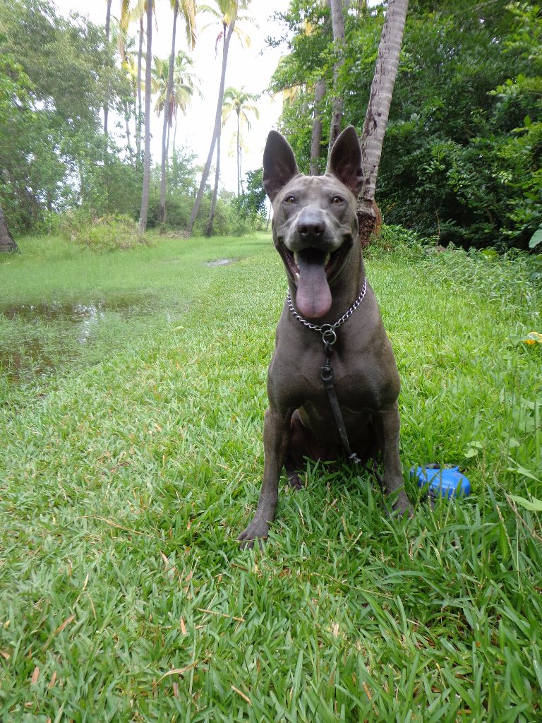 Publication : du Bouquet d'Epices 