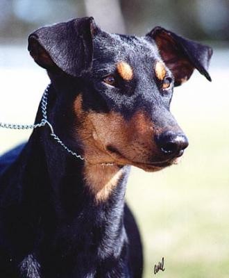 CH. Kaitler ada vom hause zemp