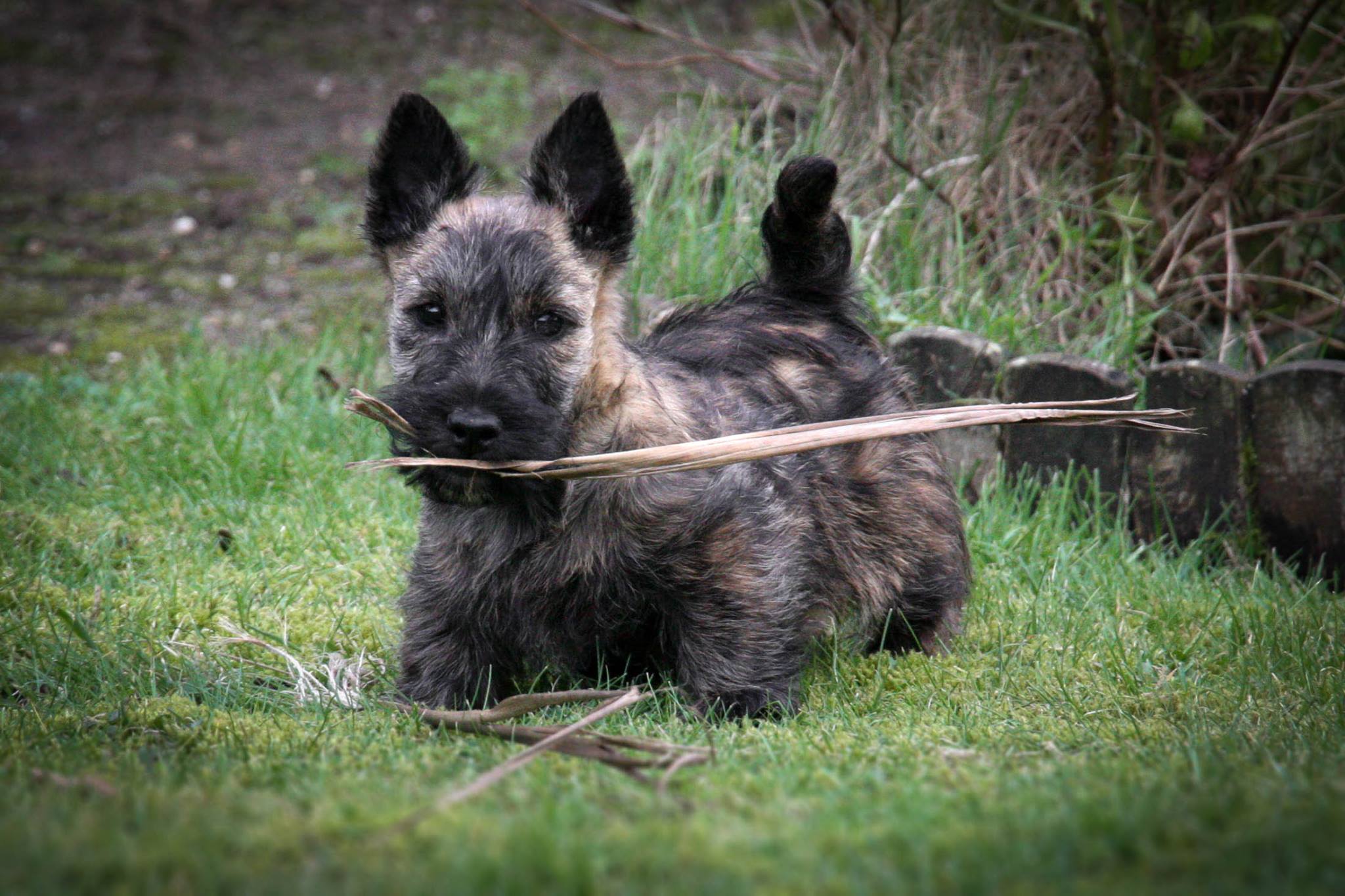 Publication : du Clan Des Bigoudens Auteur : C.STEPHAN