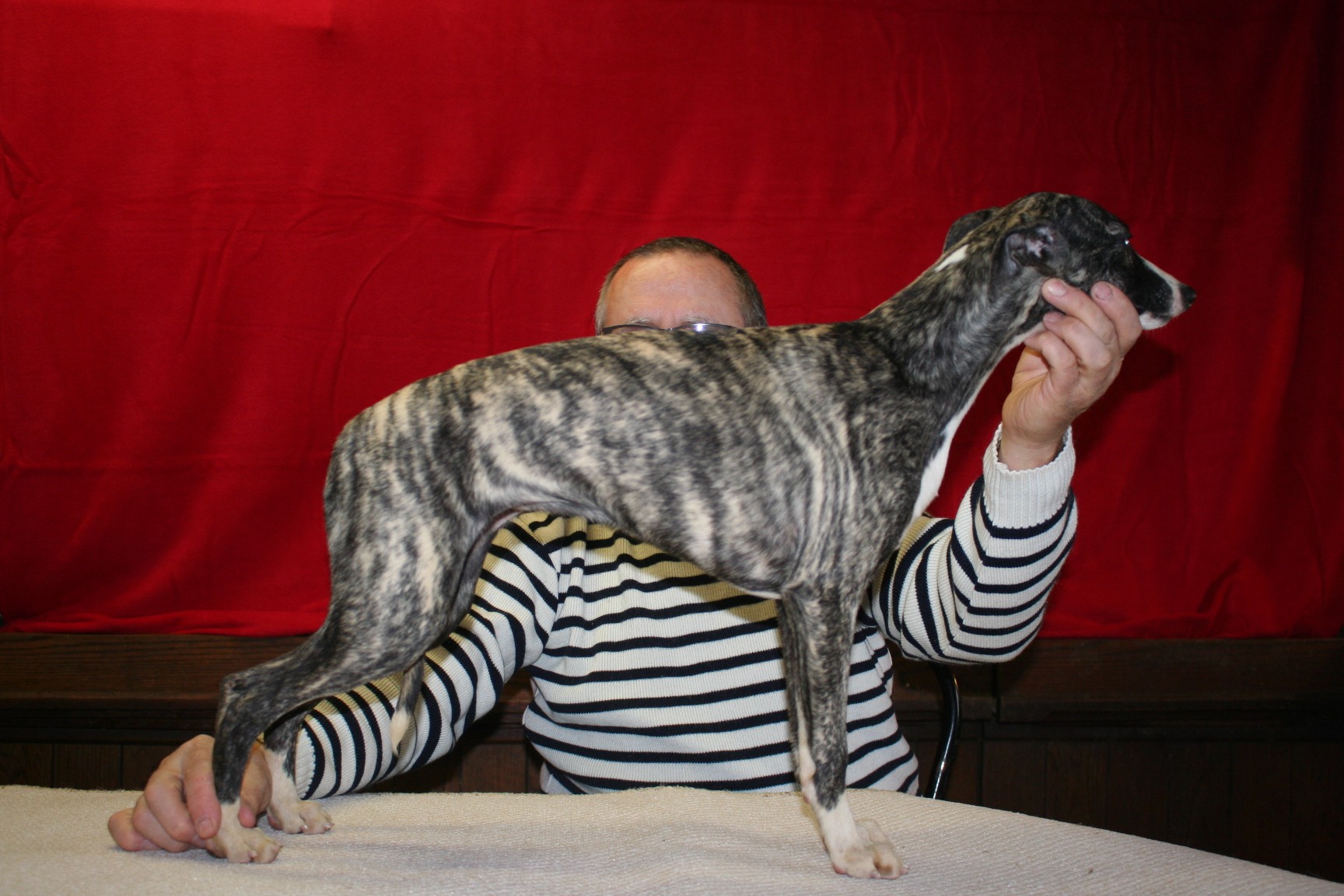 Publication : De L'élégance Du Sud 