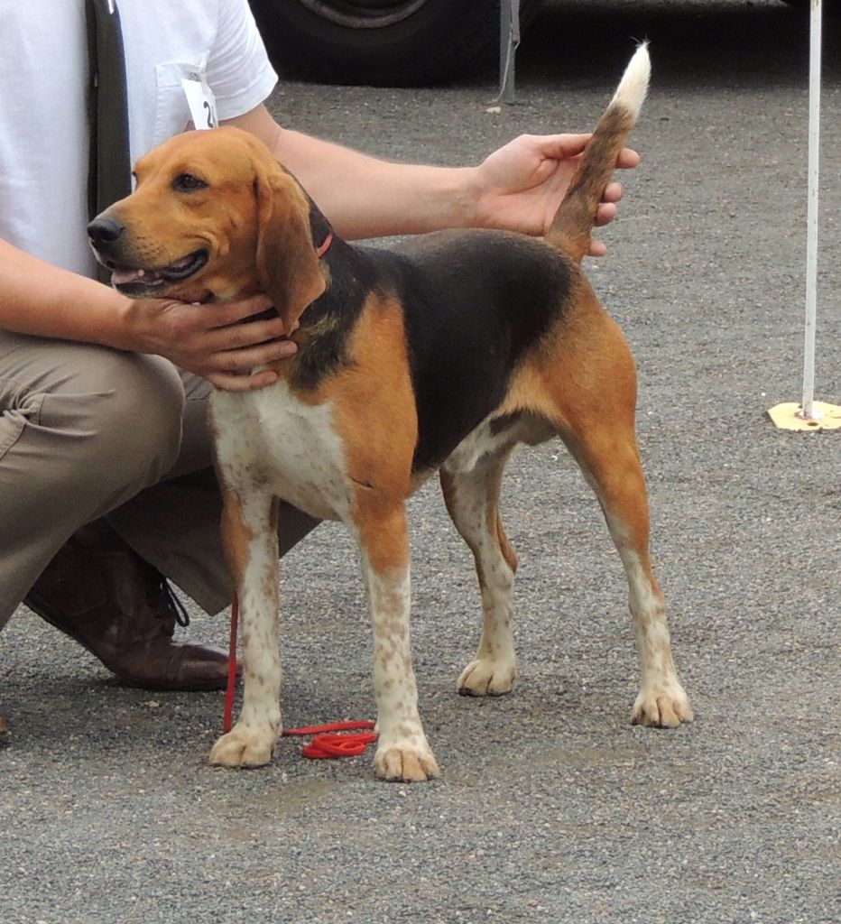 Publication : de la chaume à tous vents 