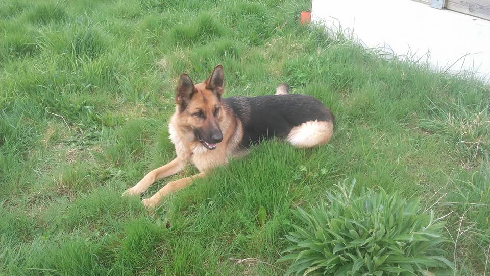 Publication : Du Haut Atlas 