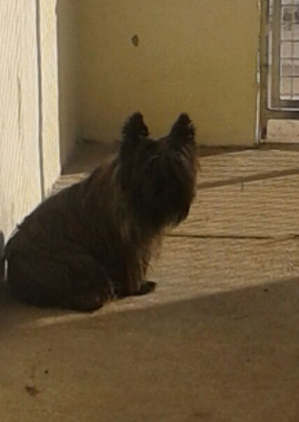 Galipette Des Collines D'Evereven