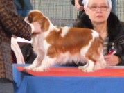 Publication : De La Maison D'herbouville Auteur : Legois Matilde