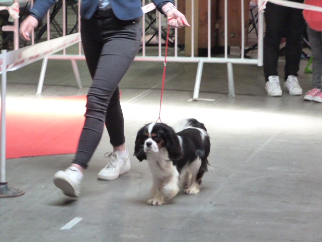 Publication : De La Maison D'herbouville Auteur : Legois Matilde