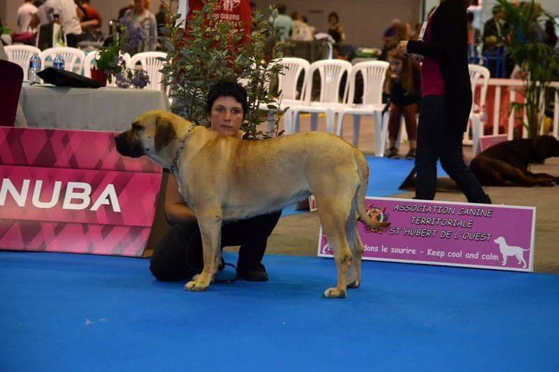 Publication : Des Legendre 