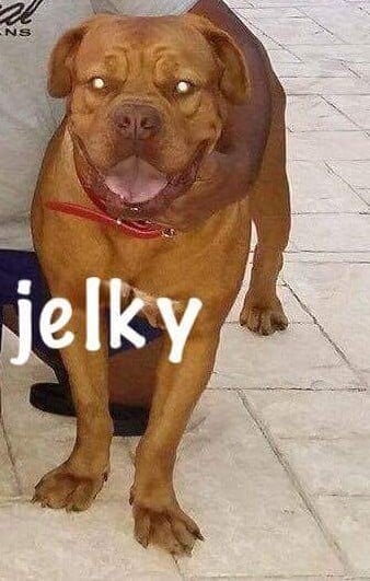 Jelky (Sans Affixe)