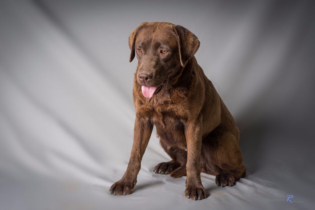 Jolie môme Des Jardins D'eywa