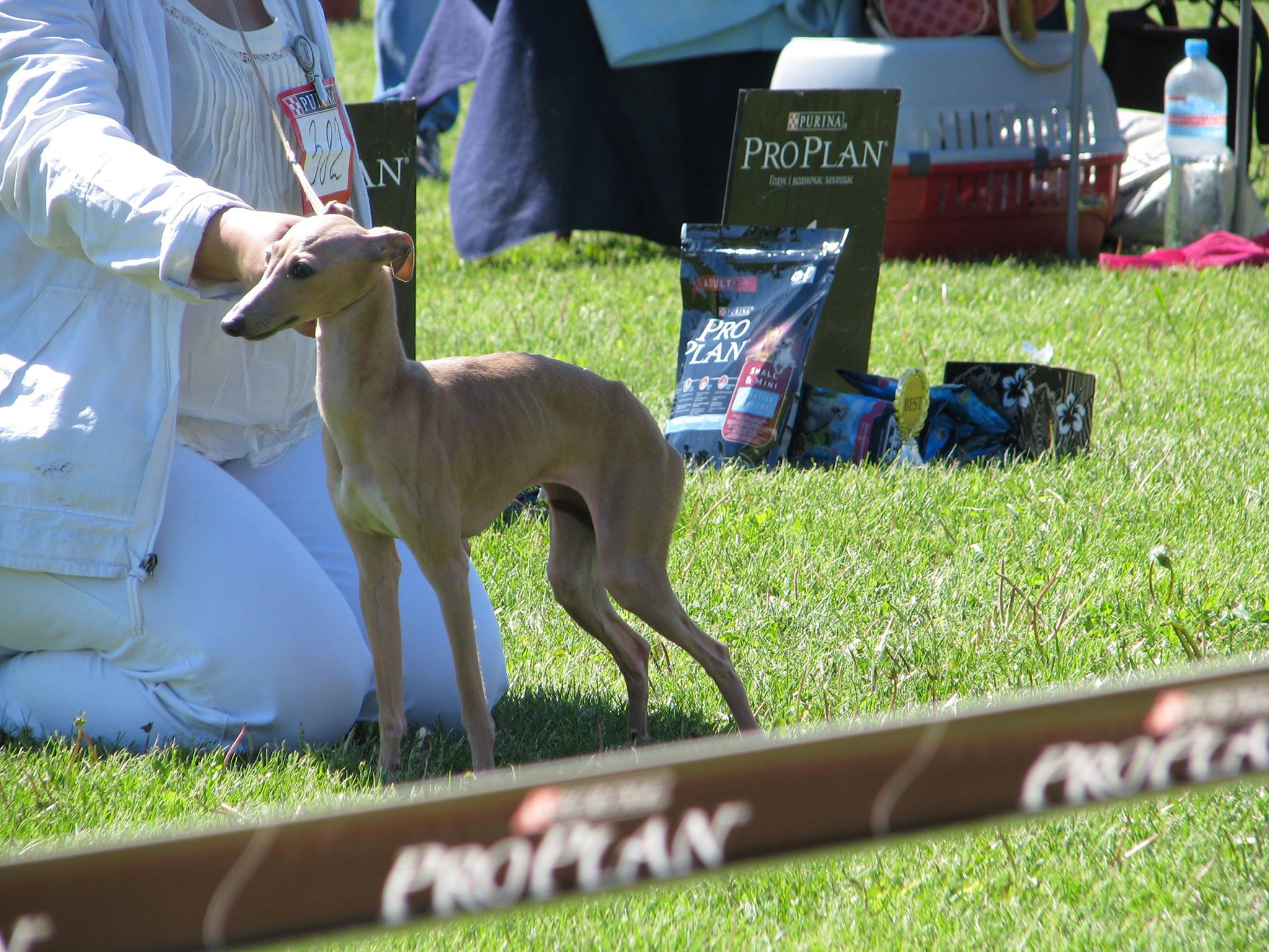 Publication : Pyarisarna 