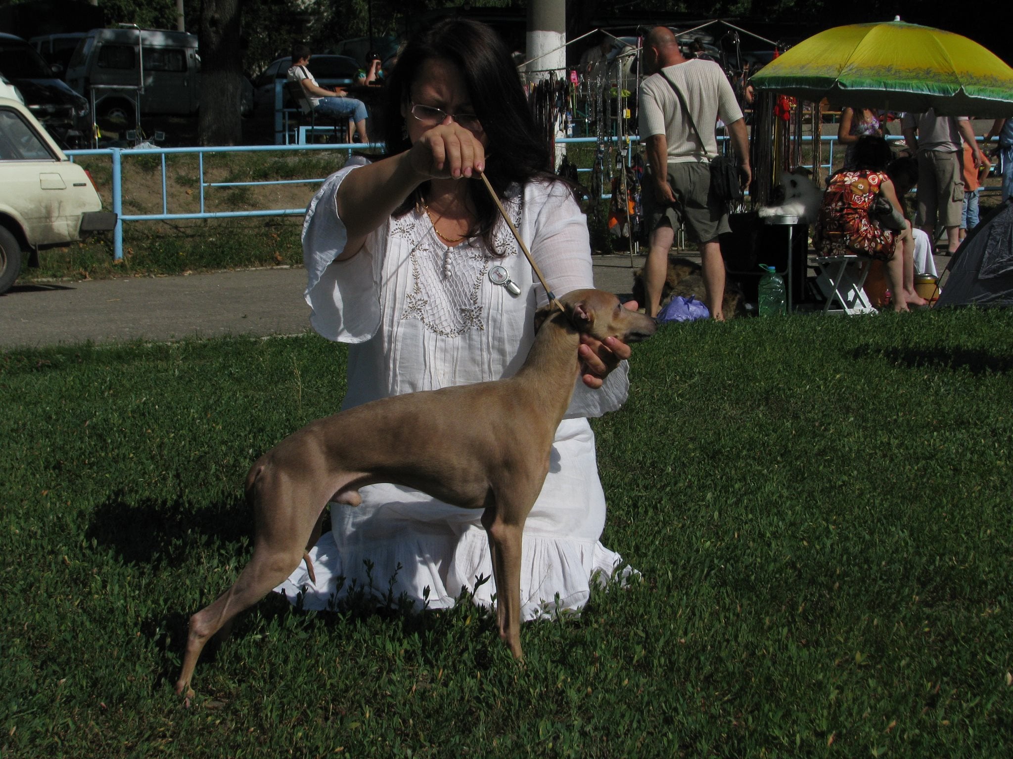 Publication : Pyarisarna