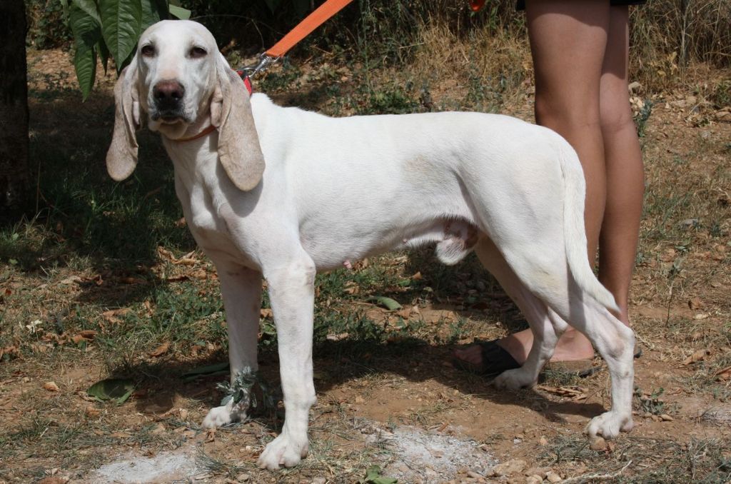 Publication : Des Collines De Pagnol 