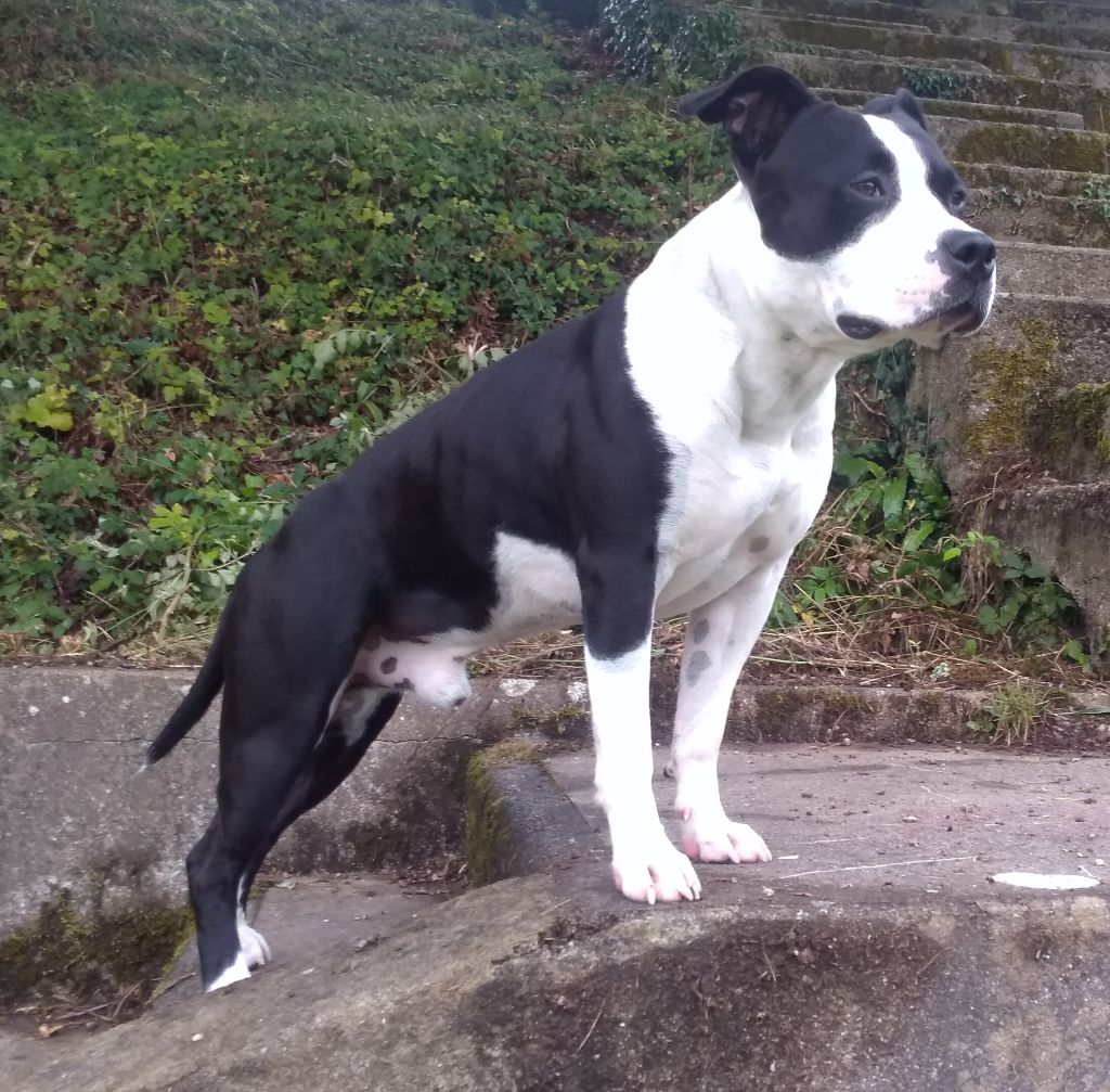 Publication : (Sans Affixe) Auteur : Doriane HENRY