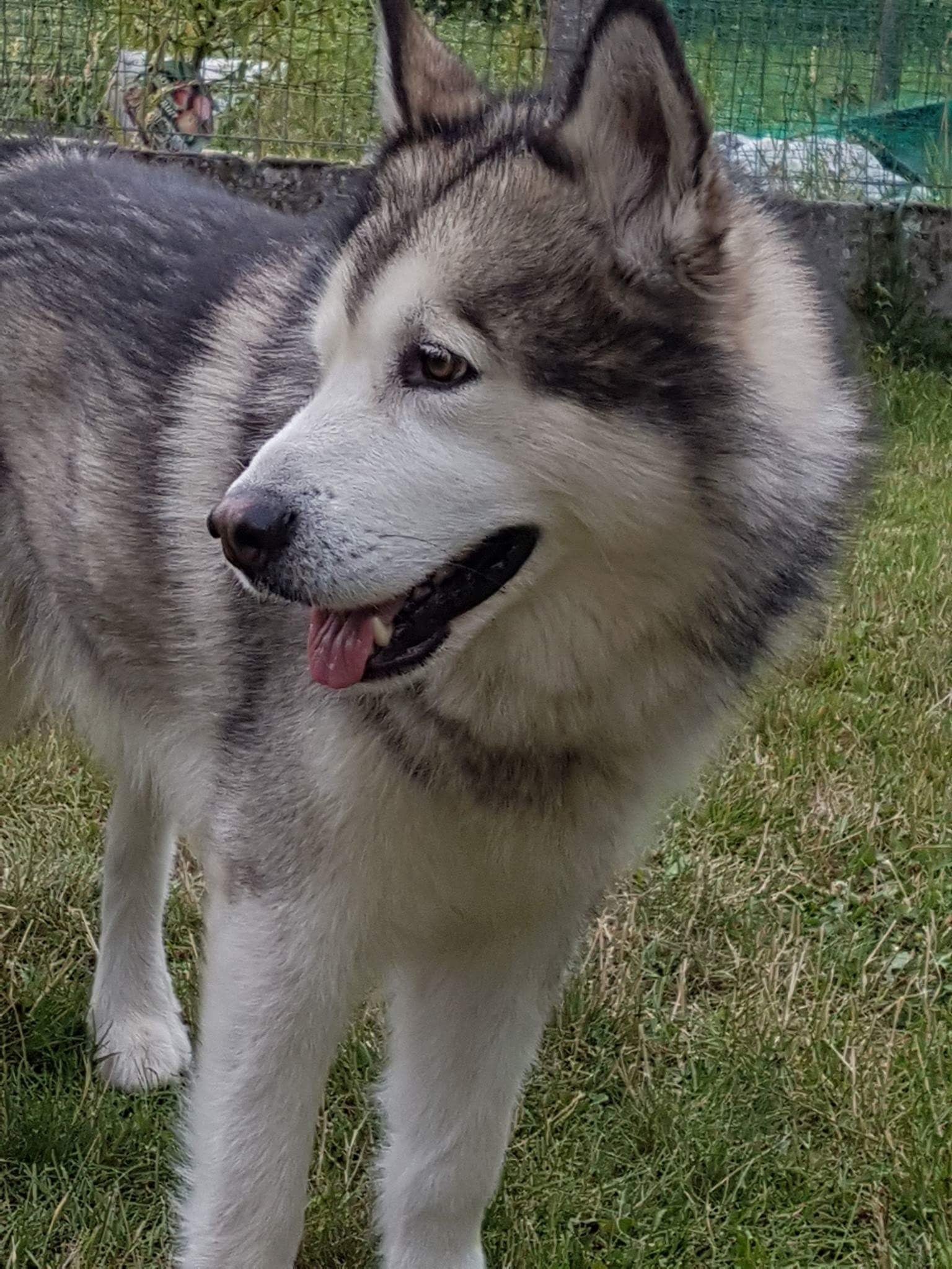 Publication : on Kamiakan Trail