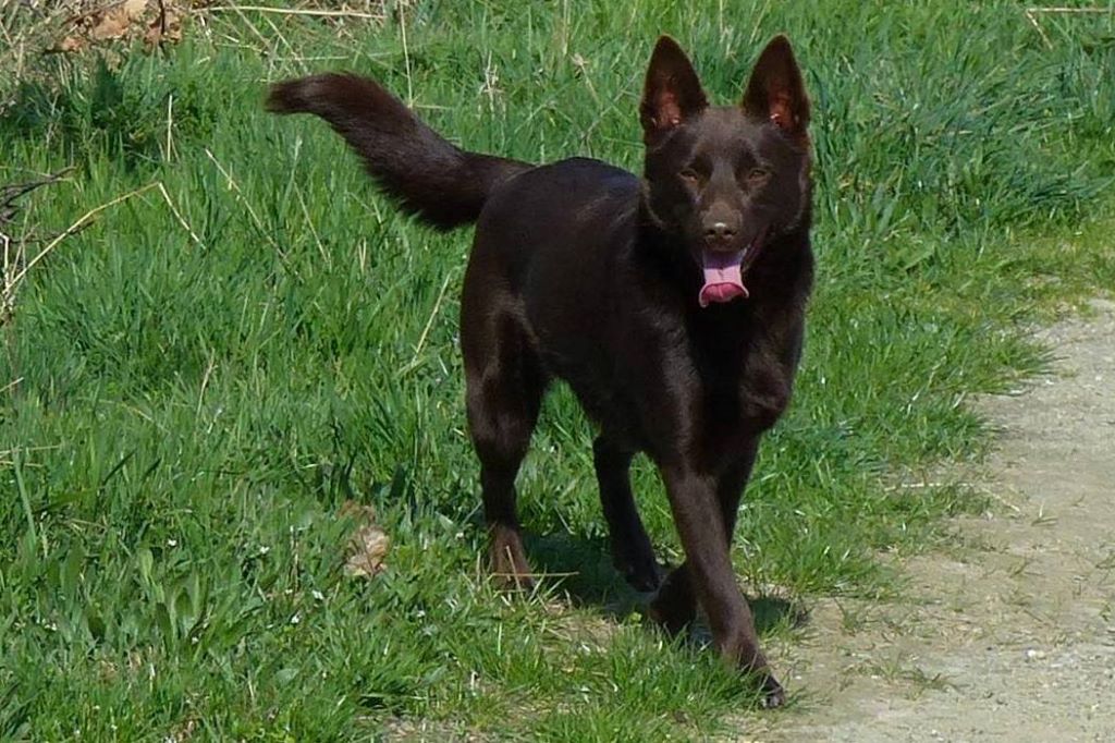  Auteur : la Cala Paumaju