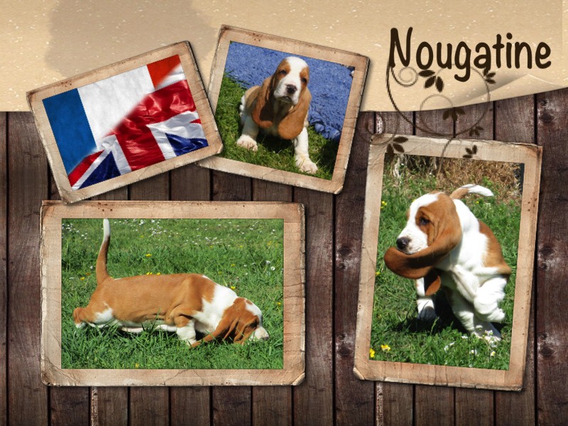 Auteur : Le Middel Weg