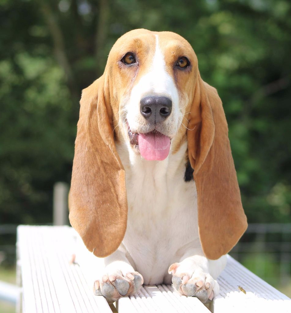 Publication : Des Chasseurs Du Temps Auteur : C. Fréville