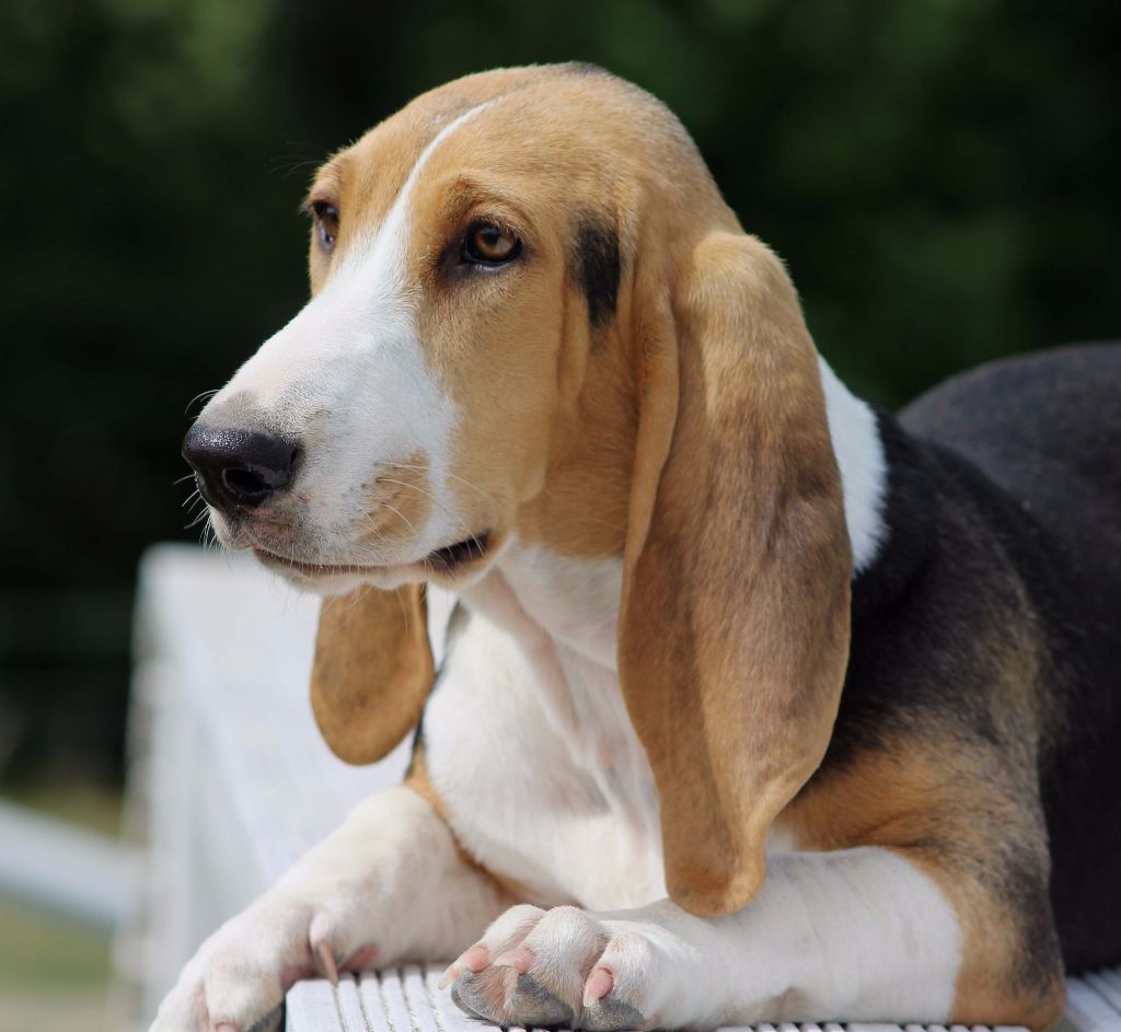 Publication : Des Chasseurs Du Temps Auteur : C. Fréville