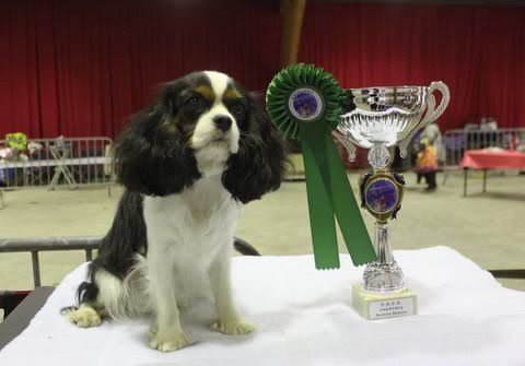 Publication : du Parc de Lormoy Auteur : CG