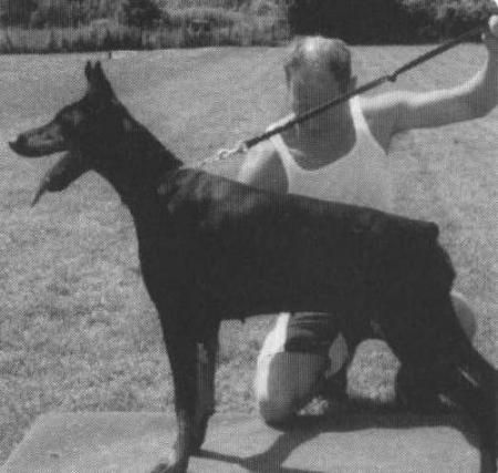 CH. Udina v. hof ter eeckhout