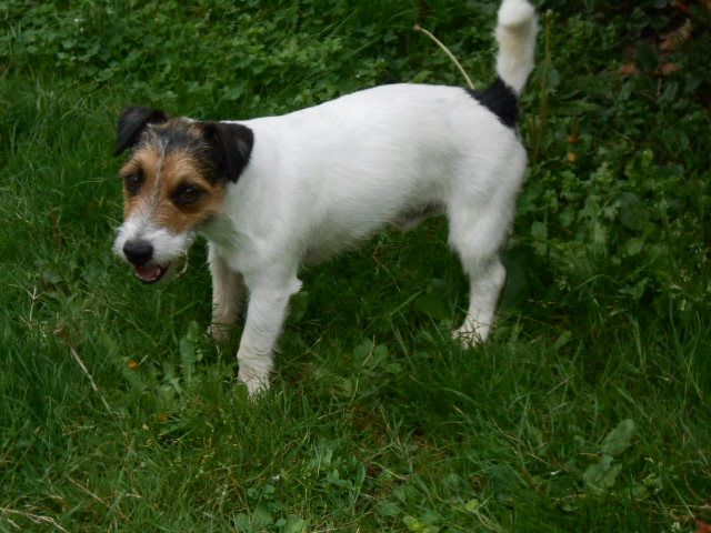 Publication : De la roche turpin