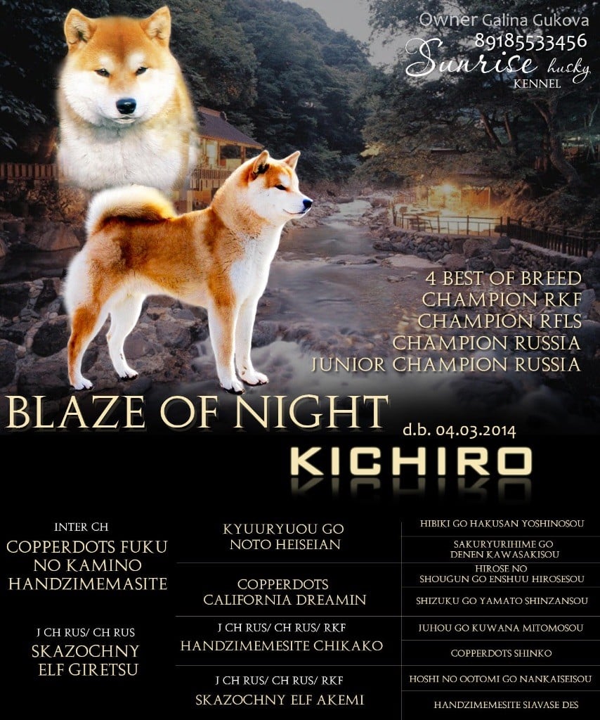 CH. Blaze of night kichiro (Sans Affixe)