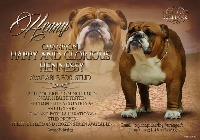 Étalon Bulldog Anglais - CH. happy and glorious Hennessy