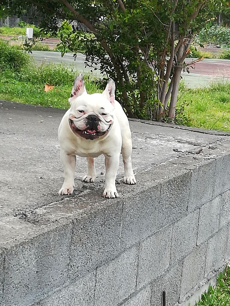 Publication : (Sans Affixe)