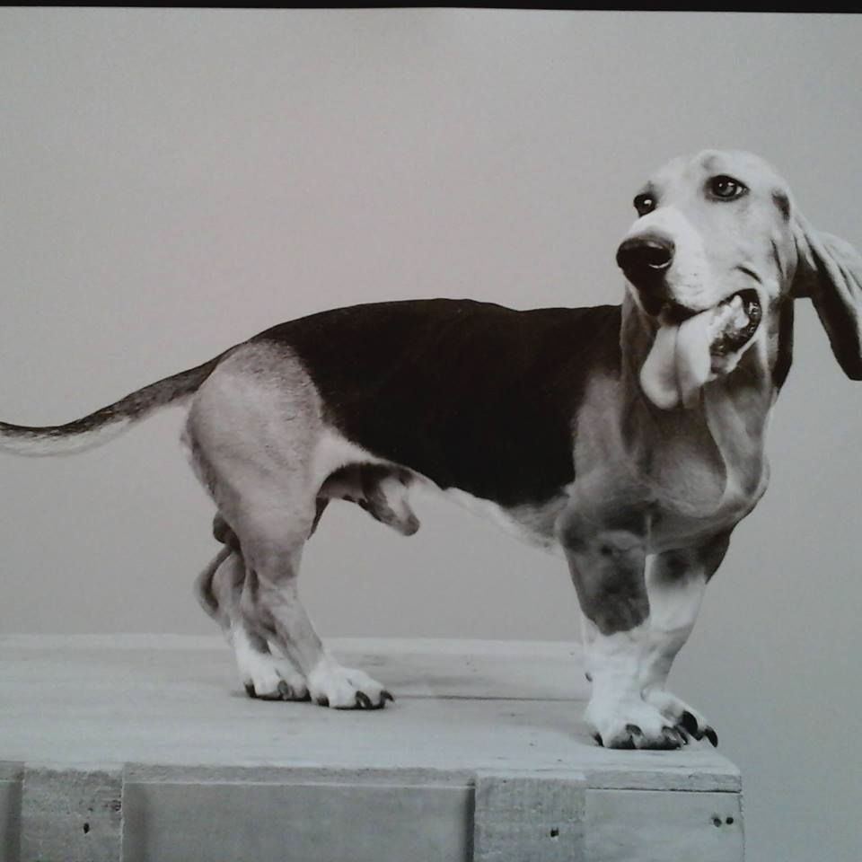 Publication : (Sans Affixe) 