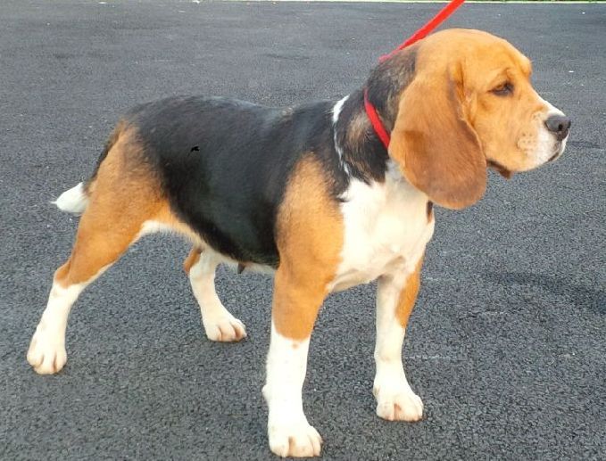 Publication : Des quatre jeudis