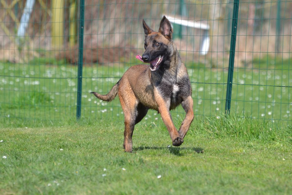 Publication : des gardiens d'Athéna