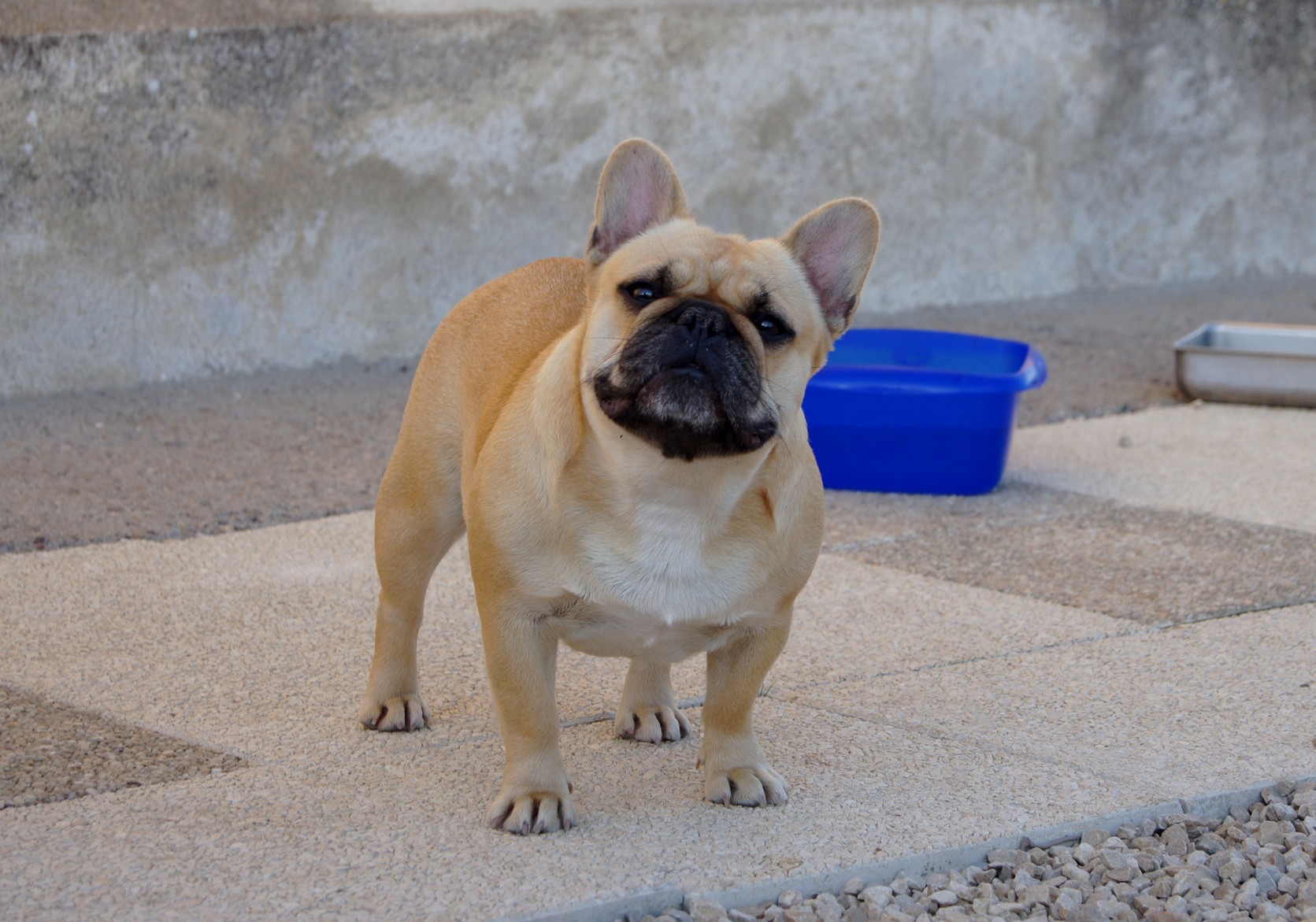 Publication : dho Valtess 