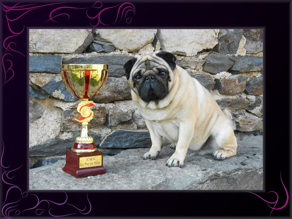 Faust du cottage de Sherwood