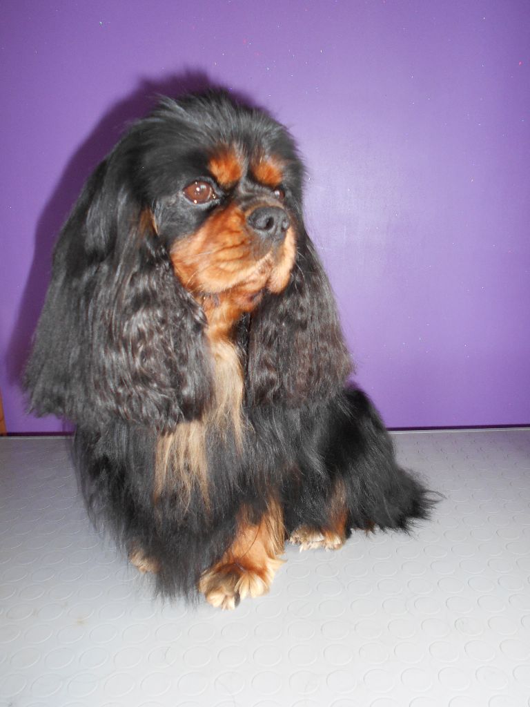 Publication : De La Source Sanson Auteur : VALERIE FREBERT