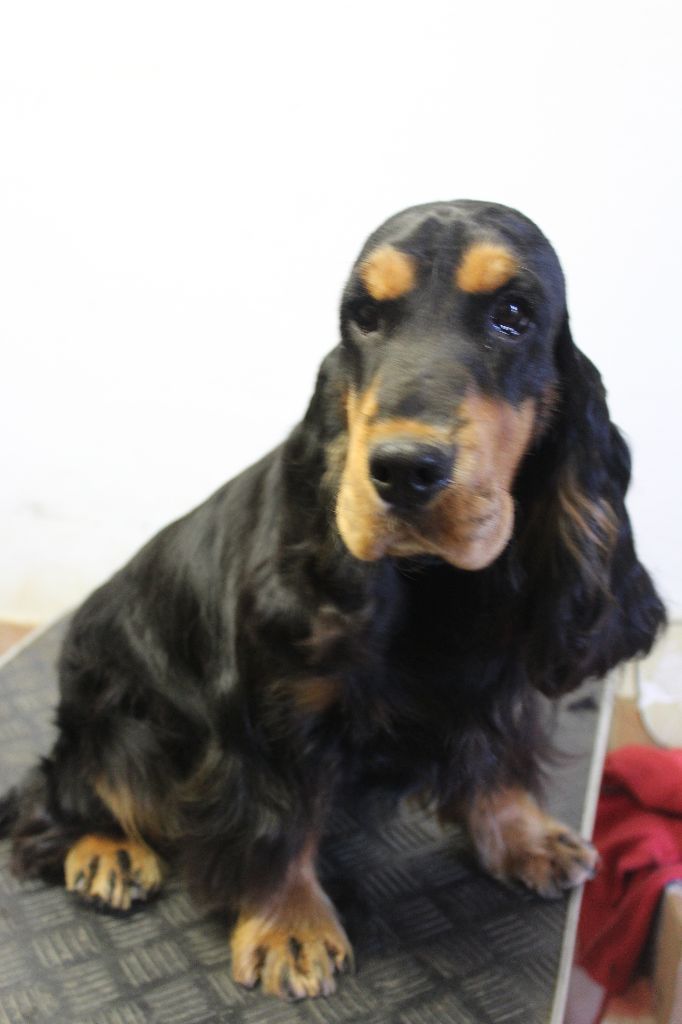 Publication : des bois de la bro