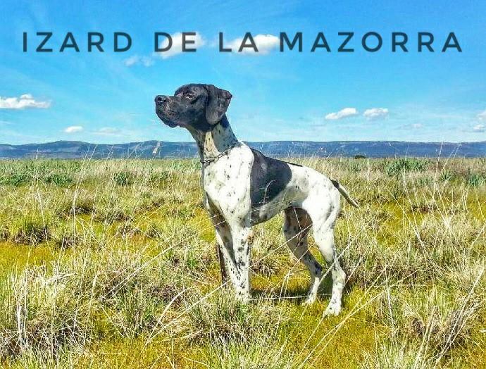 Publication : De la mazorra Auteur : Yann Condado