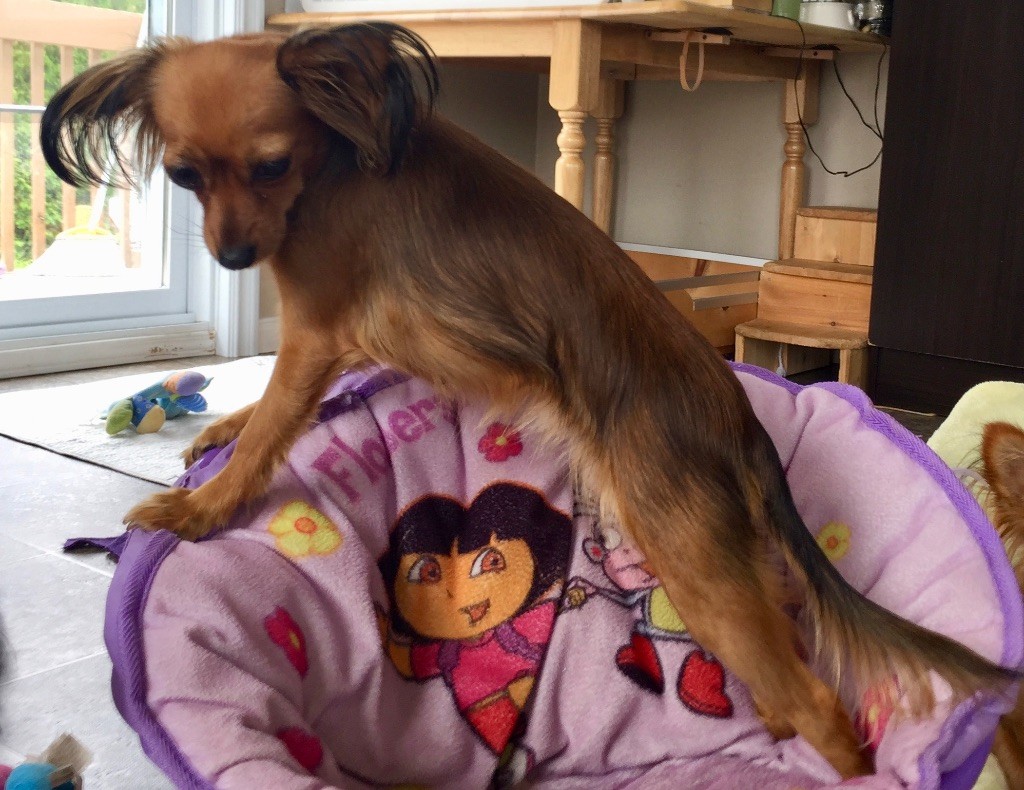 laskovaya rus' Laura